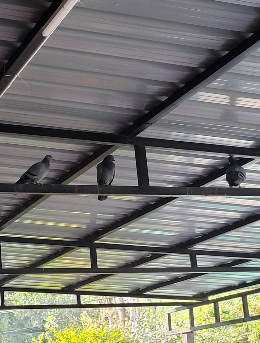 THE SKIN DOCTOR tweet media