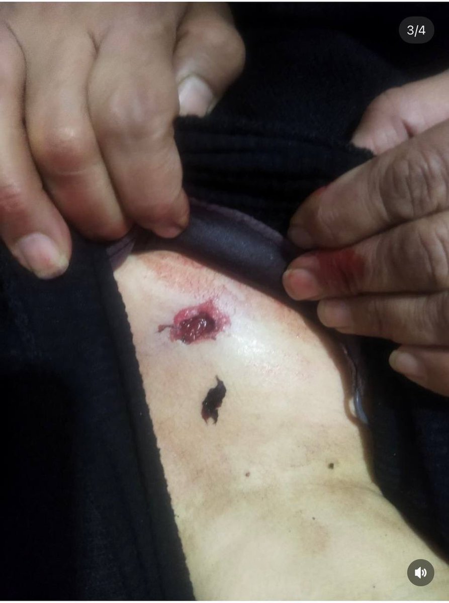 🇮🇱داش غلام(لطیفی)🇺🇸 tweet media