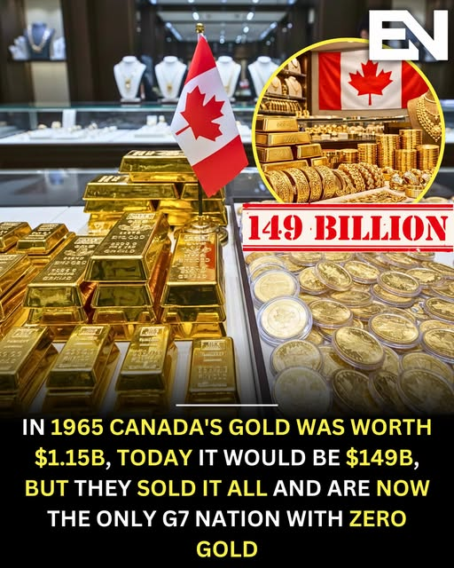 TheBuckYouWill's tweet image. 🪙CANADA HAS *NO* GOLD RESERVES🪙

We are the ONLY G7 country with ZERO gold reserves.

NOW, WANT TO BE *REALLY* PISSED OFF?

Ukraine, who Canada has given +/-$22 Billion in financial support with its conflict with Russia, has 27.37 tonnes of gold, valued at roughly $3.5–3.7…
