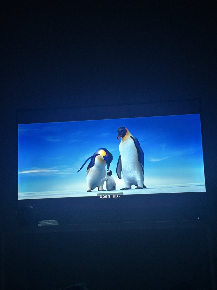 Sebastian Orellana tweet media