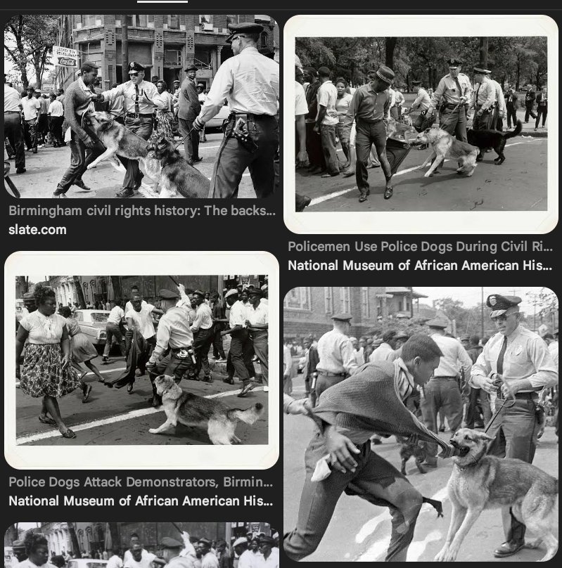 MrSpiritsRaven's tweet image. #PeopleOfColor 
#BlackPeople 
#BrownSkinnedPeople
#SurvivorsOfThe60s
Can Tell You EMPHATICALLY #NonViolence DOES NOT WORK.

AS THE #CivilRightsParticipants OF THE #Sixties 👉🏿 NON-VIOLENTLY 👈🏿 #Marched THEY HAD Dogs #Sicced ON THEM. 
#WaterCannons Turned ON THEM.

#NonViolence is