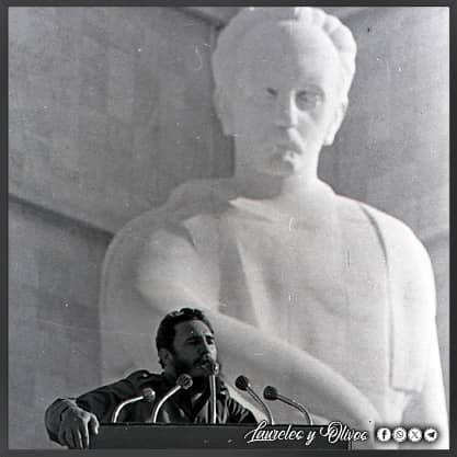 Bruno 61 tweet media