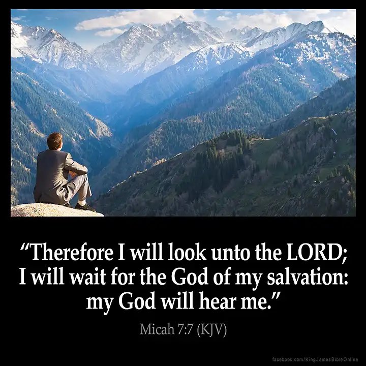 "Therefore I will look unto the LORD; I will wait for the God of my salvation: my God will hear me."
-Micah 7:7 (KJV)