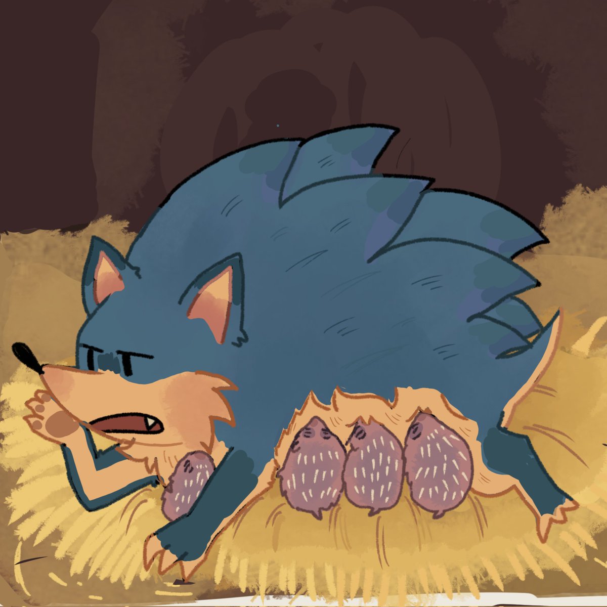 asaya430's tweet image. Second, hedgehogs build a nest for giving birth using dry leaves, grass, and branches. They can have between 1 and 11 babies (Depending on the species), but I didn’t want to draw that many mini Shadows XD