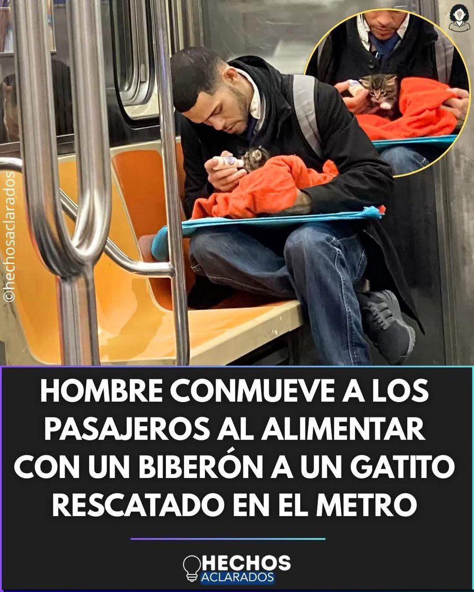 EmmanuelDuprez's tweet photo. Lastima que esto no suceda en el @MetroCDMX porque @AdrianRubalcava mantiene la orden a sus policías que no permitan el ingreso a gathijos ni perrhijos… 
@LicAnimalista @HELA_MORE @Tiofelino @AztecaNoticias @marianoosorio1 https://t.co/GQxnNa0ZSg
