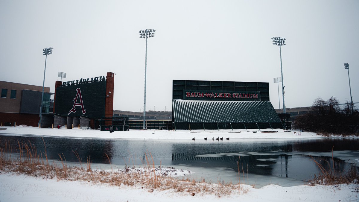 What da hell is a polar bear doing in Baum-Walker Stadium
