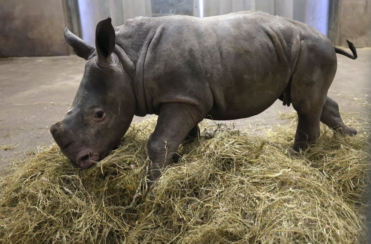 Colin Lane tweet media