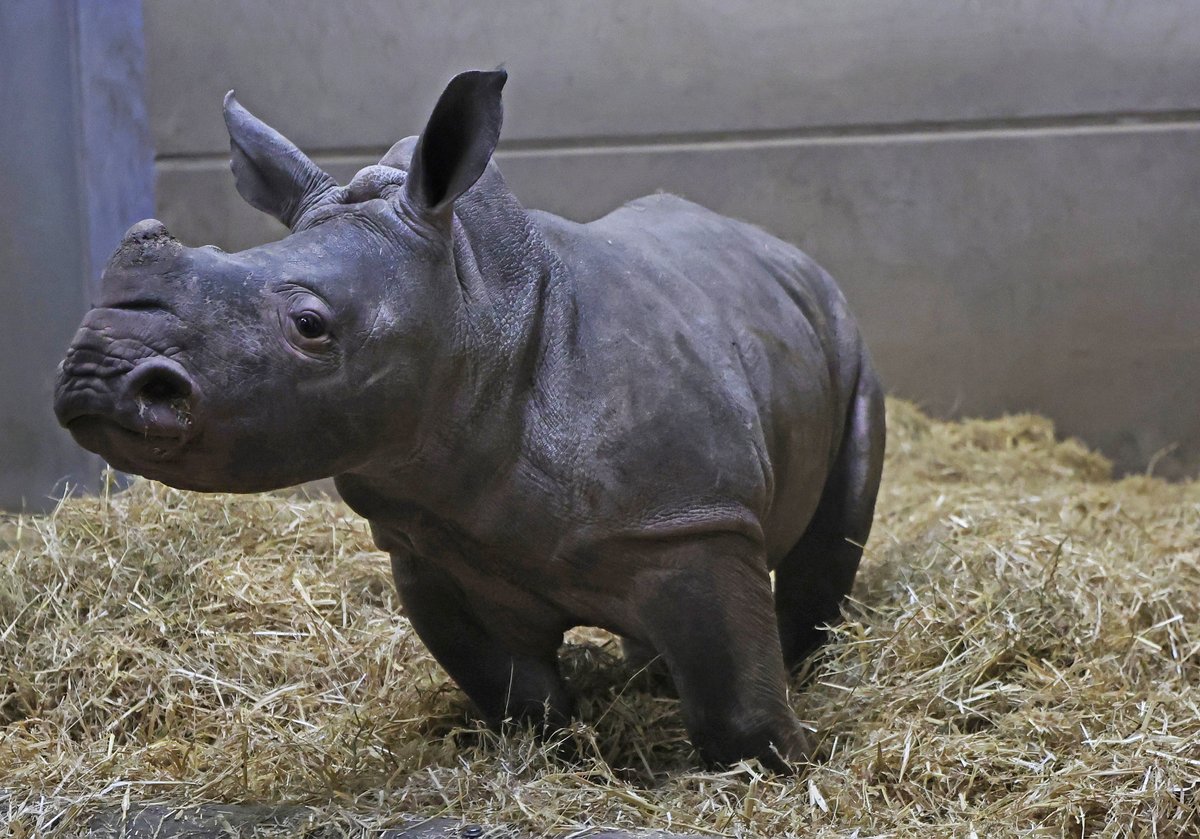 Colin Lane tweet media