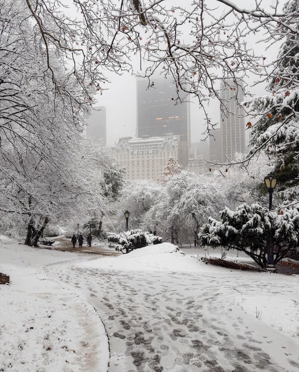 Central Park, New York