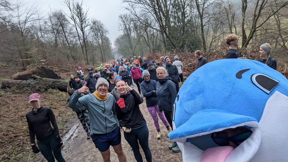 Dolphin.Runner tweet media