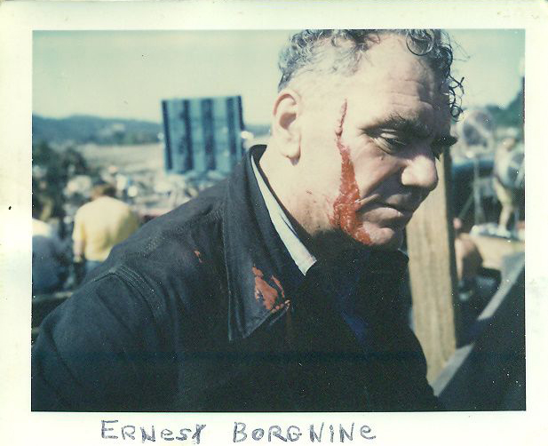 midnight marauder tweet media