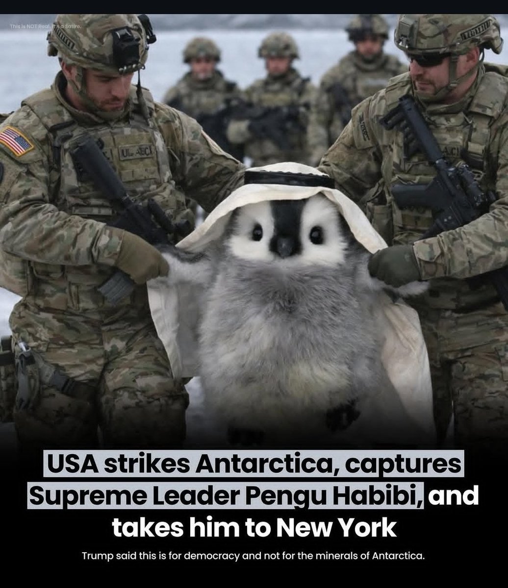 Kubys 🐦🐍 tweet media