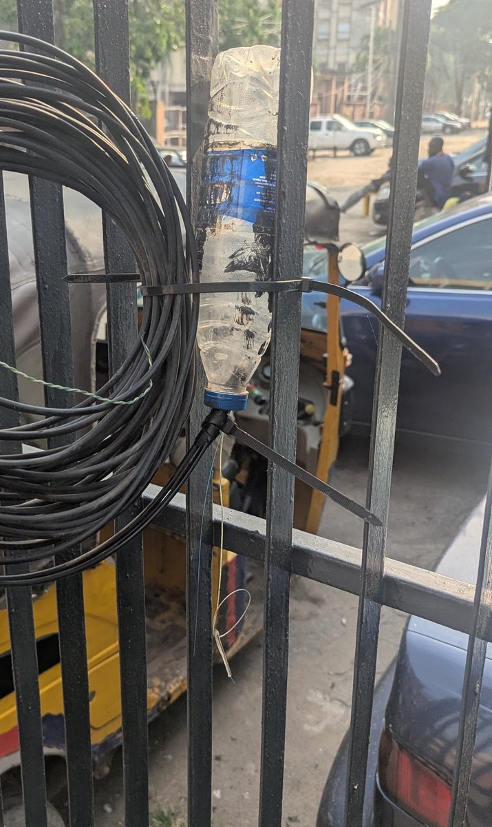 Aarinola! tweet media