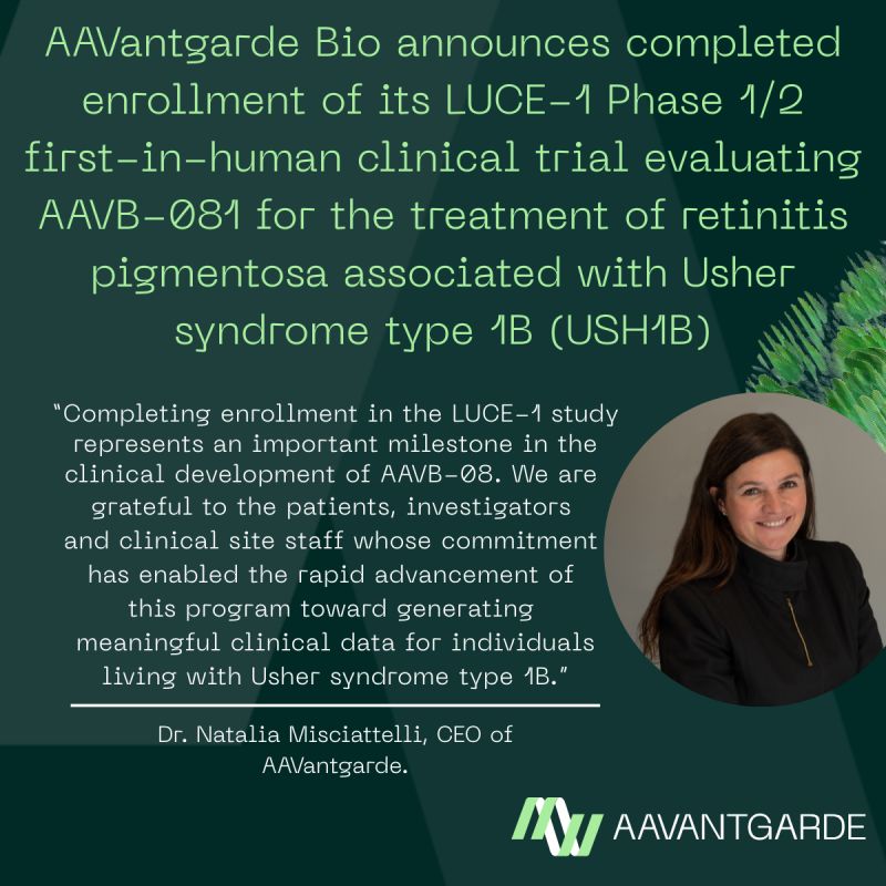 Eyecelerator tweet media