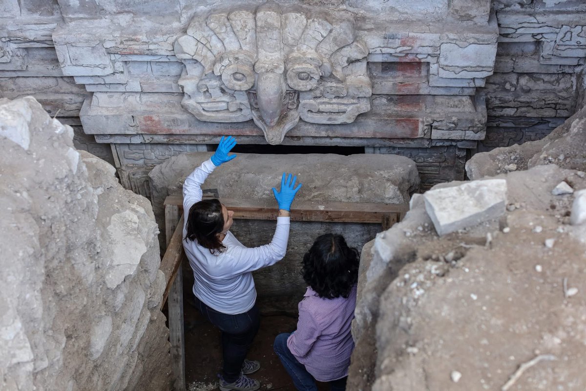 Arteymas_'s tweet photo. Descubren una milenaria tumba Zapoteca.

 Está ubicada en el Cerro de la Cantera, en San Pablo Huitzo, Oaxaca, y data del año 600 de nuestra era

 Actualmente se trabaja en su conservación y en el desciframiento de su iconografía

Es el hallazgo arqueológico más relevante de la última década realizado por la Secretaría de Cultura, a través del Instituto Nacional de Antropología e Historia (INAH): una tumba zapoteca que data del año 600 de nuestra era.

“Es el descubrimiento arqueológico más relevante de la última década en México por el nivel de conservación e información que aporta”, señaló la Presidenta, quien subrayó que se trata de una muestra contundente de la grandeza milenaria de México.

La tumba está localizada en los Valles Centrales del estado de Oaxaca y, por su riqueza arquitectónica y pictórica, aporta información de alto valor sobre la organización social, los rituales funerarios y la cosmovisión de esta civilización prehispánica.

Por su parte, en redes sociales, la secretaria de Cultura, Claudia Curiel de Icaza, abonó: “Se trata de un descubrimiento excepcional por su nivel de conservación y por lo que evidencia sobre la cultura zapoteca: su organización social, sus rituales funerarios y su cosmovisión, preservados en la arquitectura y en la pintura mural. Una muestra contundente de la grandeza milenaria de México, que hoy se investiga, protege y comparte con la sociedad”.

El hallazgo destaca por la presencia de elementos escultóricos y pintura mural, entre ellos representaciones simbólicas asociadas al poder y a la muerte, así como frisos y lápidas con inscripciones calendáricas, lo que lo sitúa entre los descubrimientos más significativos del patrimonio arqueológico nacional.

Un búho, ave que en la cosmovisión zapoteca simboliza la noche y la muerte, decora la entrada de la antecámara; su pico cubre el rostro estucado y pintado de un señor zapoteca, posible retrato del antepasado al que estuvo dedicada la tumba, y al que sus descendientes recurrían como intercesor con las divinidades.

El umbral está flanqueado por un dintel, en cuya parte superior se observa un friso compuesto por lápidas de piedra, grabadas con nombres calendáricos; mientras que las figuras de un hombre y de una mujer ataviados con tocados y artefactos en ambas manos, quizás los guardianes del lugar, aparecen labradas en las jambas.

En las paredes de la cámara funeraria se hallan in situ secciones de una extraordinaria pintura mural, en colores ocre, blanco, verde, rojo y azul: una procesión de personajes que cargan bolsas de copal y caminan en dirección a la entrada.

Un equipo interdisciplinario del Centro INAH Oaxaca realiza labores de conservación, protección e investigación del inmueble, incluyendo la estabilización de la pintura mural, cuyo estado es delicado debido a la presencia de raíces, insectos y a cambios abruptos en las condiciones ambientales.

De manera paralela, se desarrollan análisis cerámicos, iconográficos y epigráficos, así como estudios de antropología física, con el fin de profundizar en el conocimiento de los rituales, símbolos y prácticas funerarias asociadas a la tumba.

Por su calidad constructiva y riqueza decorativa, el hallazgo se compara con otros conjuntos funerarios zapotecos de alta relevancia en la región, lo que confirma su importancia para comprender la complejidad social, artística y simbólica de esta civilización.

#zapoteca #oaxaca #INAH #descubrimiento
