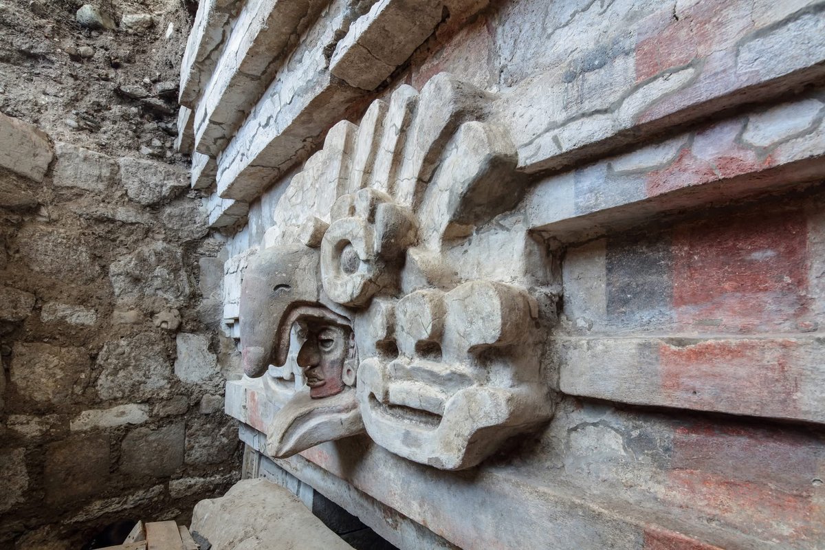 Arteymas_'s tweet photo. Descubren una milenaria tumba Zapoteca.

 Está ubicada en el Cerro de la Cantera, en San Pablo Huitzo, Oaxaca, y data del año 600 de nuestra era

 Actualmente se trabaja en su conservación y en el desciframiento de su iconografía

Es el hallazgo arqueológico más relevante de la última década realizado por la Secretaría de Cultura, a través del Instituto Nacional de Antropología e Historia (INAH): una tumba zapoteca que data del año 600 de nuestra era.

“Es el descubrimiento arqueológico más relevante de la última década en México por el nivel de conservación e información que aporta”, señaló la Presidenta, quien subrayó que se trata de una muestra contundente de la grandeza milenaria de México.

La tumba está localizada en los Valles Centrales del estado de Oaxaca y, por su riqueza arquitectónica y pictórica, aporta información de alto valor sobre la organización social, los rituales funerarios y la cosmovisión de esta civilización prehispánica.

Por su parte, en redes sociales, la secretaria de Cultura, Claudia Curiel de Icaza, abonó: “Se trata de un descubrimiento excepcional por su nivel de conservación y por lo que evidencia sobre la cultura zapoteca: su organización social, sus rituales funerarios y su cosmovisión, preservados en la arquitectura y en la pintura mural. Una muestra contundente de la grandeza milenaria de México, que hoy se investiga, protege y comparte con la sociedad”.

El hallazgo destaca por la presencia de elementos escultóricos y pintura mural, entre ellos representaciones simbólicas asociadas al poder y a la muerte, así como frisos y lápidas con inscripciones calendáricas, lo que lo sitúa entre los descubrimientos más significativos del patrimonio arqueológico nacional.

Un búho, ave que en la cosmovisión zapoteca simboliza la noche y la muerte, decora la entrada de la antecámara; su pico cubre el rostro estucado y pintado de un señor zapoteca, posible retrato del antepasado al que estuvo dedicada la tumba, y al que sus descendientes recurrían como intercesor con las divinidades.

El umbral está flanqueado por un dintel, en cuya parte superior se observa un friso compuesto por lápidas de piedra, grabadas con nombres calendáricos; mientras que las figuras de un hombre y de una mujer ataviados con tocados y artefactos en ambas manos, quizás los guardianes del lugar, aparecen labradas en las jambas.

En las paredes de la cámara funeraria se hallan in situ secciones de una extraordinaria pintura mural, en colores ocre, blanco, verde, rojo y azul: una procesión de personajes que cargan bolsas de copal y caminan en dirección a la entrada.

Un equipo interdisciplinario del Centro INAH Oaxaca realiza labores de conservación, protección e investigación del inmueble, incluyendo la estabilización de la pintura mural, cuyo estado es delicado debido a la presencia de raíces, insectos y a cambios abruptos en las condiciones ambientales.

De manera paralela, se desarrollan análisis cerámicos, iconográficos y epigráficos, así como estudios de antropología física, con el fin de profundizar en el conocimiento de los rituales, símbolos y prácticas funerarias asociadas a la tumba.

Por su calidad constructiva y riqueza decorativa, el hallazgo se compara con otros conjuntos funerarios zapotecos de alta relevancia en la región, lo que confirma su importancia para comprender la complejidad social, artística y simbólica de esta civilización.

#zapoteca #oaxaca #INAH #descubrimiento