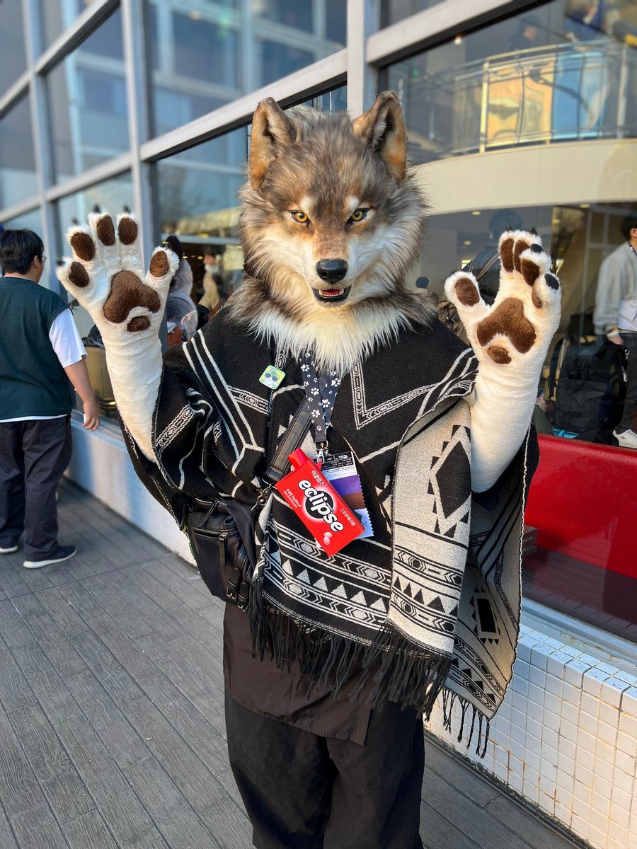 이클립스 / Eclipse tweet media