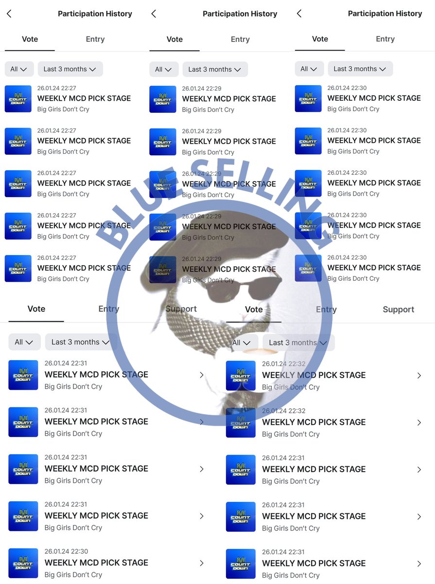 BLUE VOTE tweet media