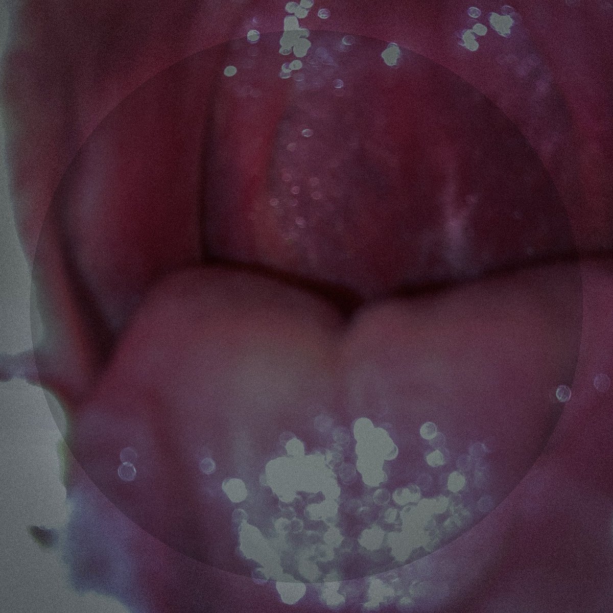 rssmrm's tweet image. new messier music soon ᯓ𝄞 ˎˊ˗