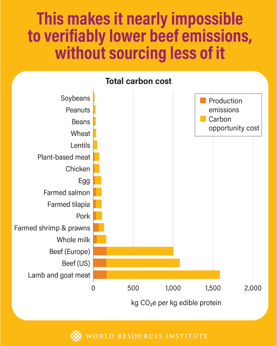 World Resources Institute tweet media