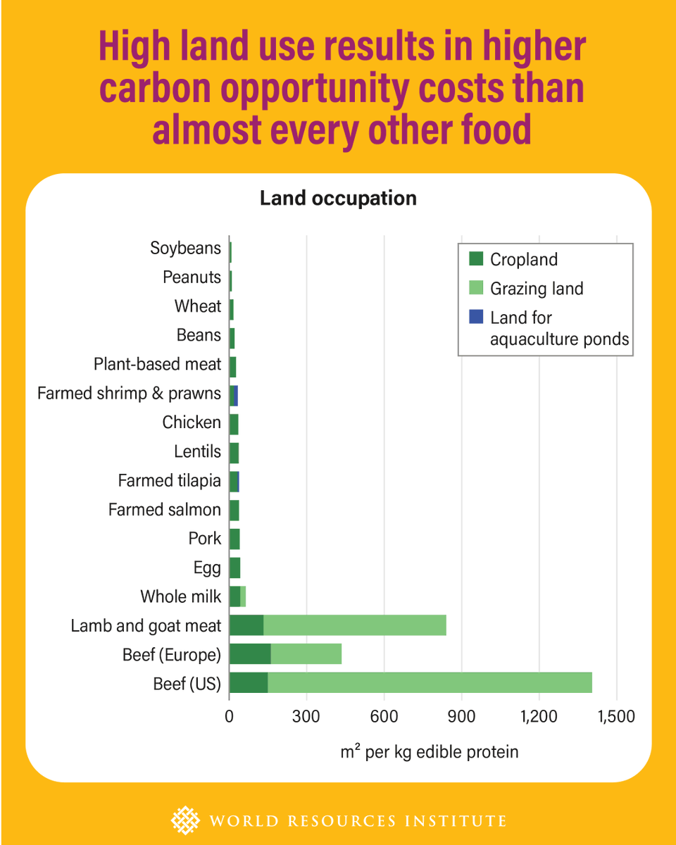 World Resources Institute tweet media