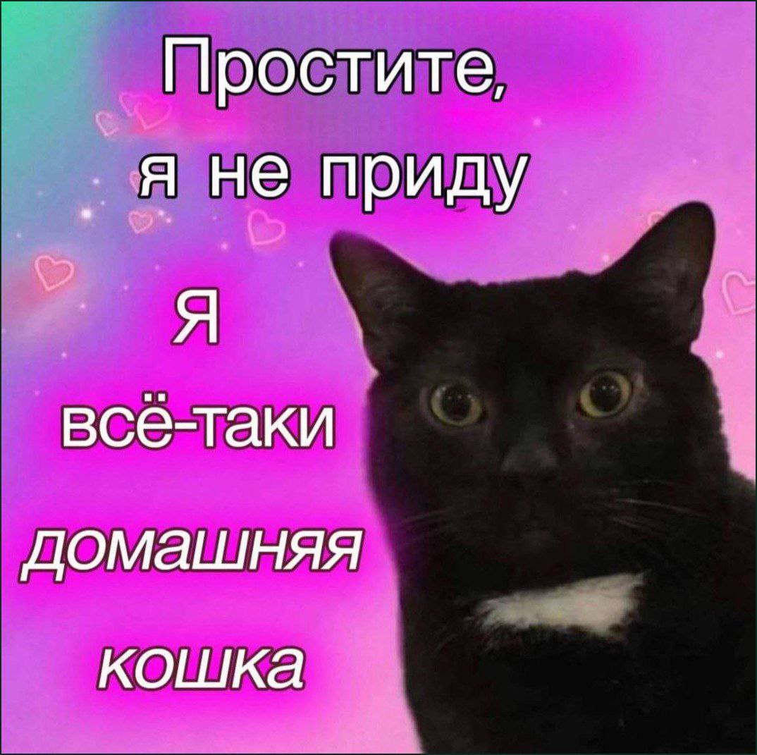 за пять минут до выхода на встречу, о которой договаривались тысячу лет