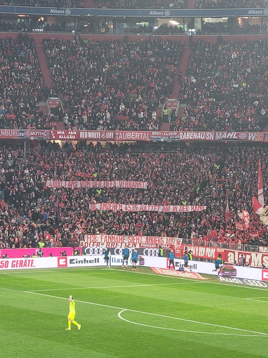 Patrick Strasser tweet media