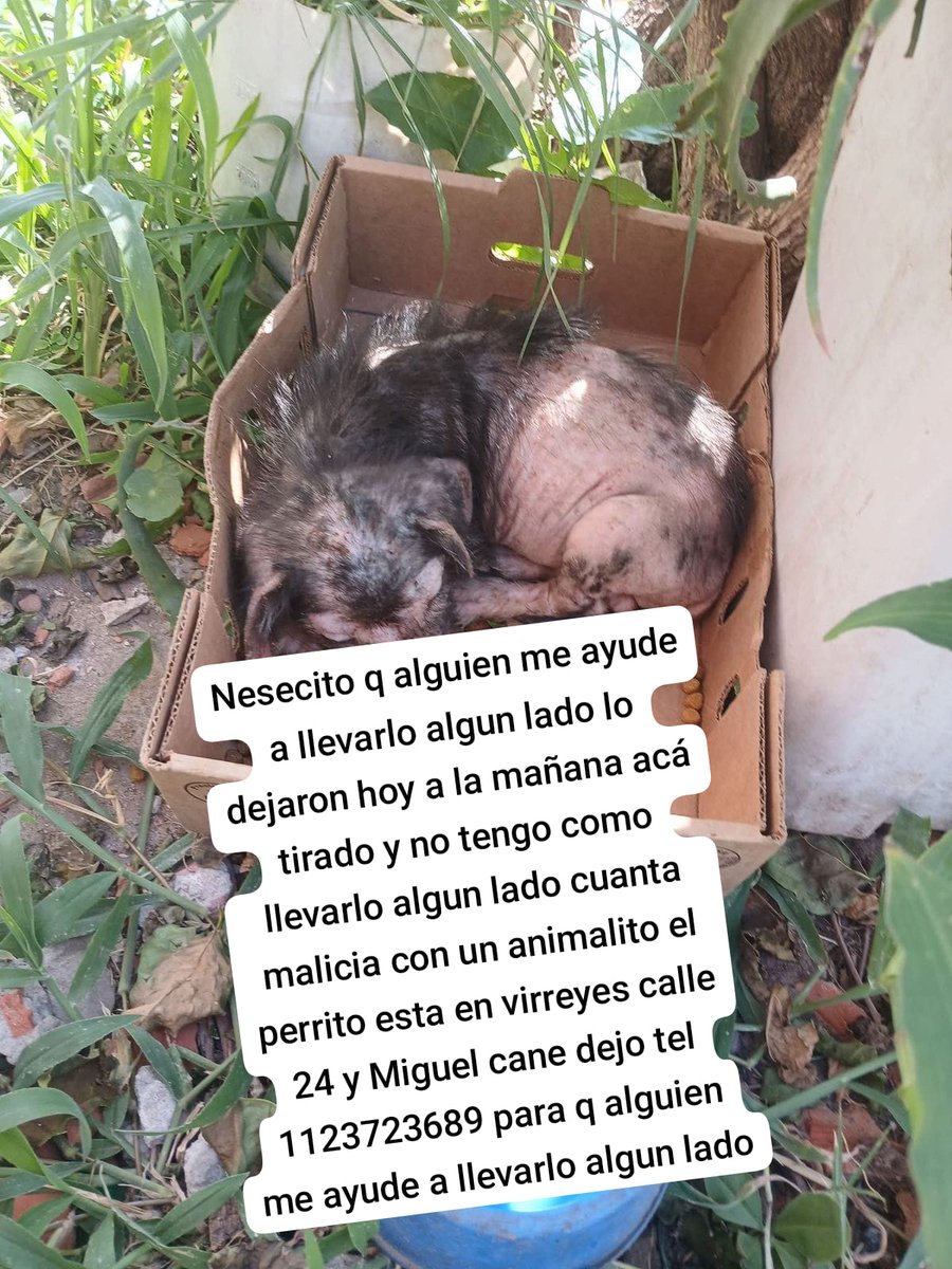 patripeyrou's tweet photo. Difundimos 
Rt
Ayuda urgente https://t.co/vGlEvwg6wK