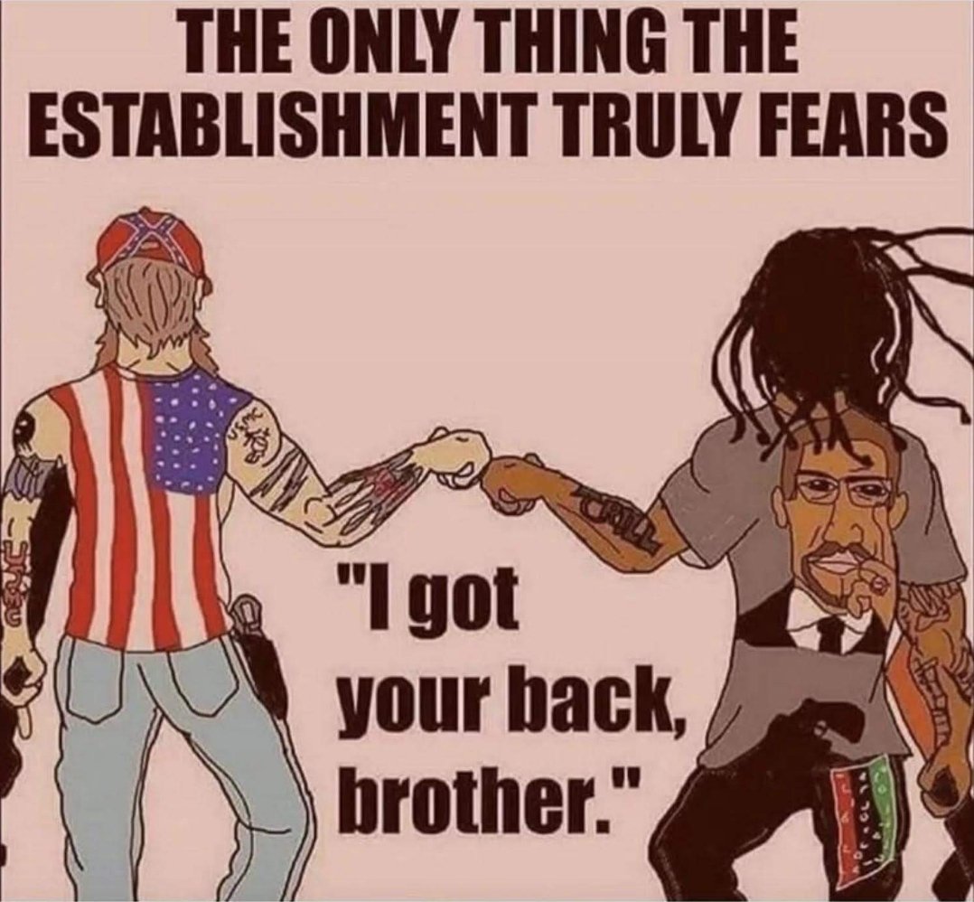 Lost in a Lost World tweet media