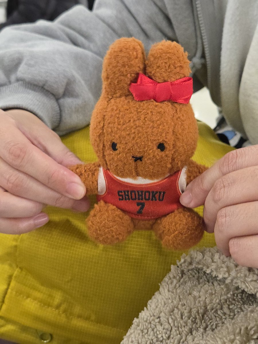 🤎소중한 인형을 찾습니다🤎

[분실 예상 지역]
1) 동대구역 인근 (20시 경)
2) 대구->서울 KTX (20시 30분 ~22시 40분)
3) 서울역 (~23시 경)

[분실품 특징]
갈색 뽀글털 미피로 한쪽귀에 빨간 리본, 쇼호쿠(북산) 7번 유니폼을 입고 있습니다.

많은 곳을 함께한 소중한 인형입니다 도와주세요