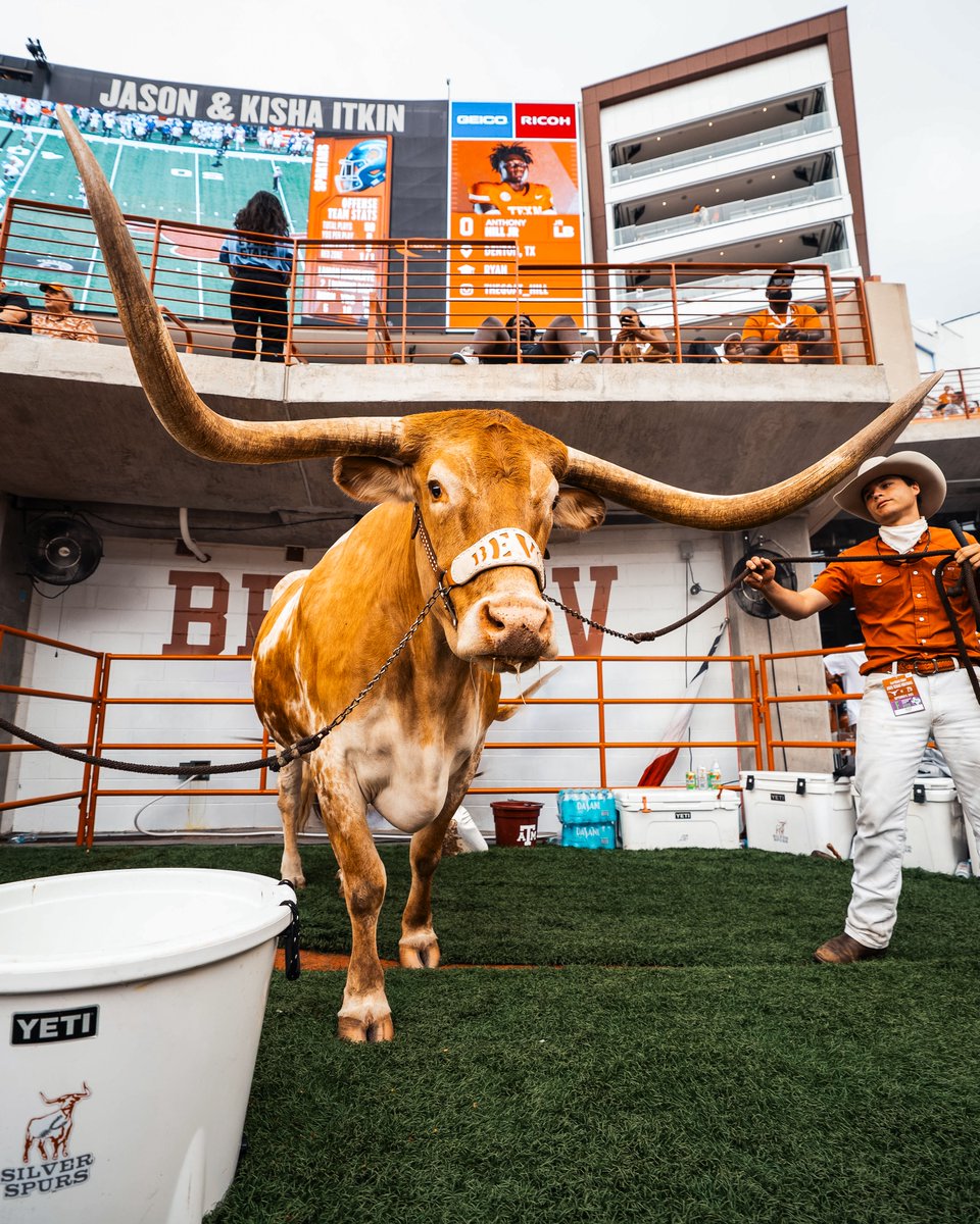 Texas Longhorns tweet media