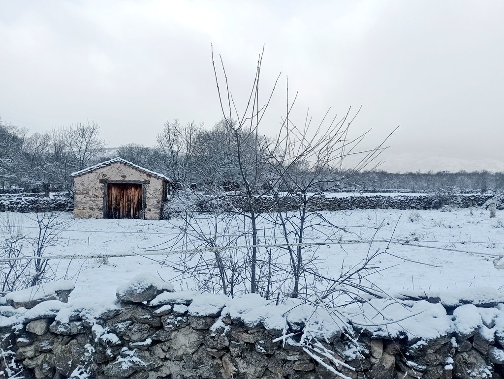 adventicia 🍃 tweet media