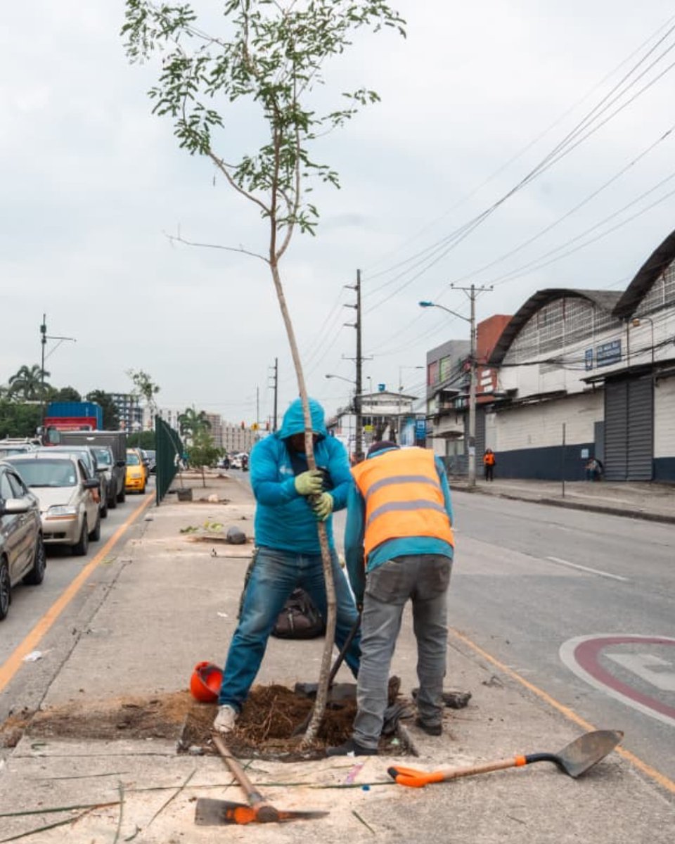 Parques EP tweet media