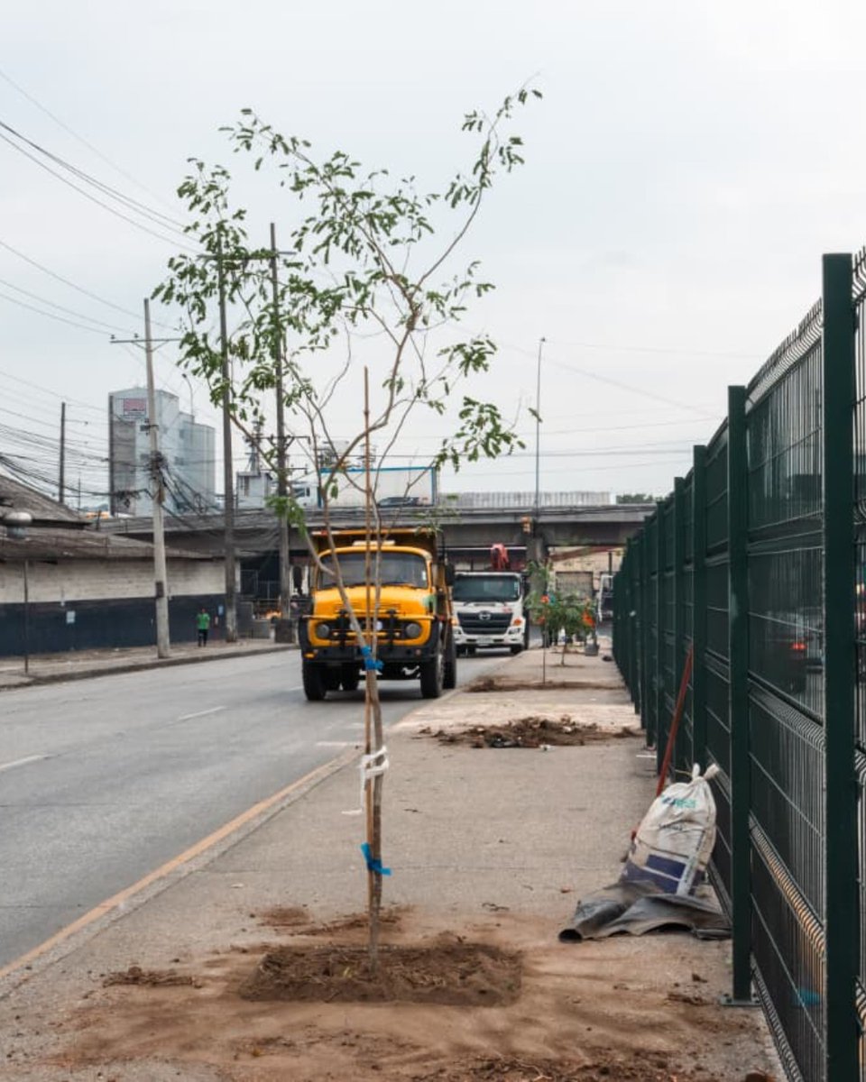 Parques EP tweet media