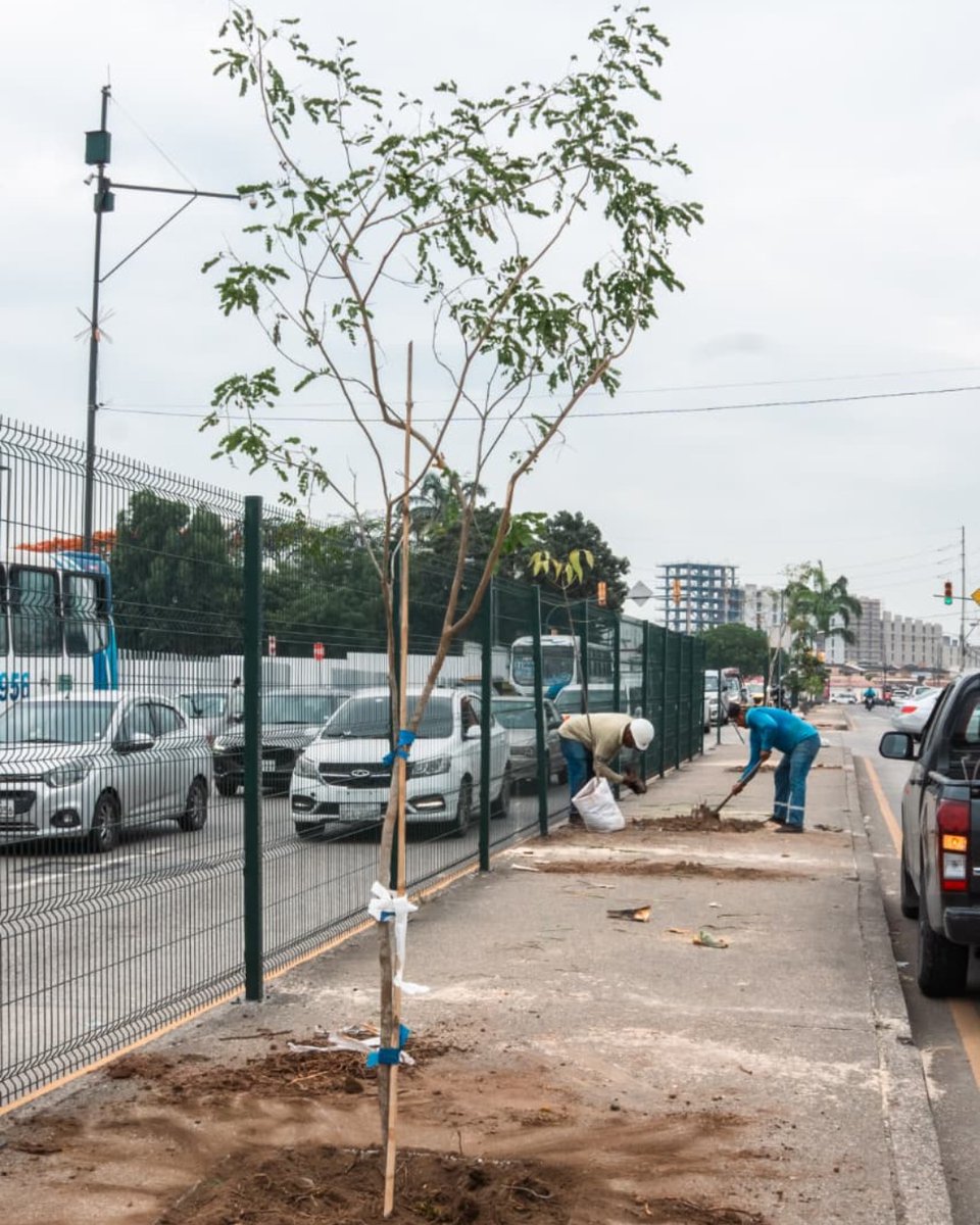 Parques EP tweet media