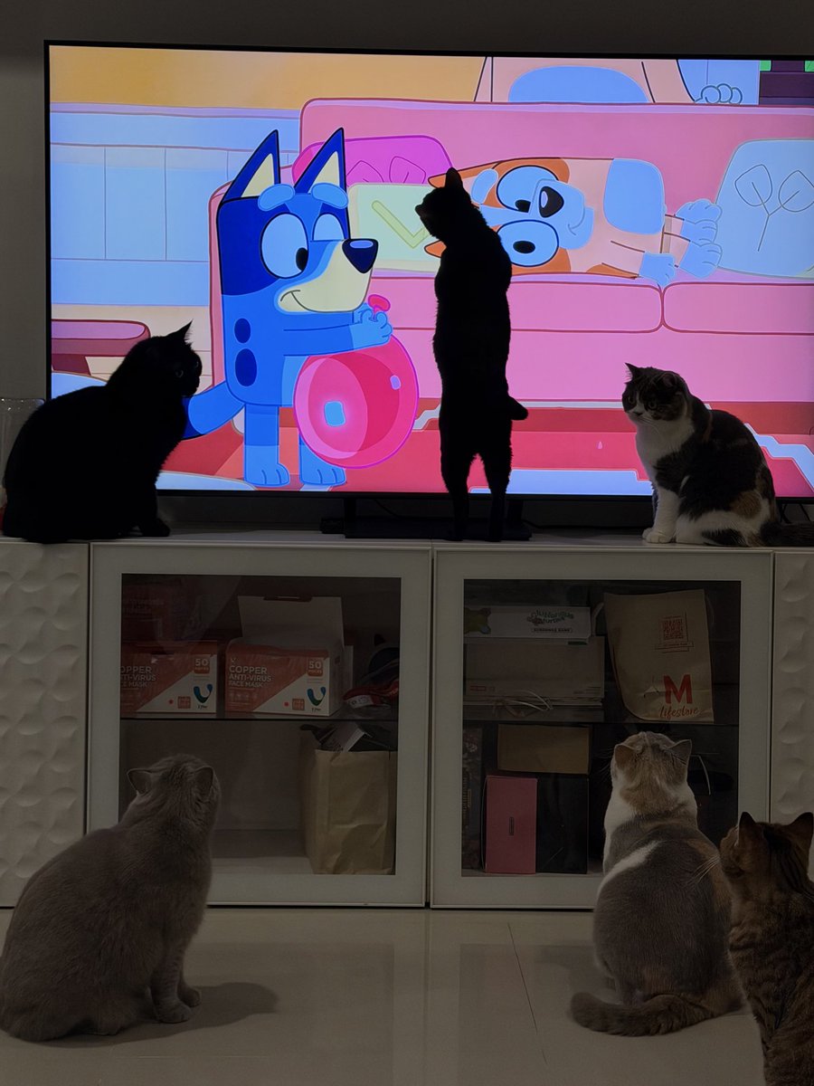 baanneemeenoo's tweet image. การ์ตูนที่แมวมองเห็นได้สร้างเรื่องมาก กลายเปงเด็กติดจอกันหมดดดด