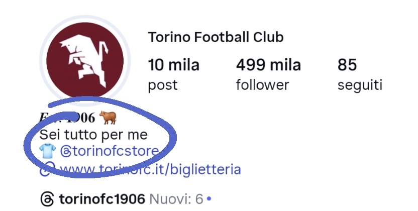 Toccoditacco10's tweet image. Io cambiarei la bio per qualche giorno @TorinoFC_1906