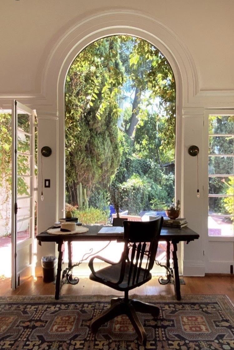 pamvonhadder's tweet image. for those of us who seek nature at every corner