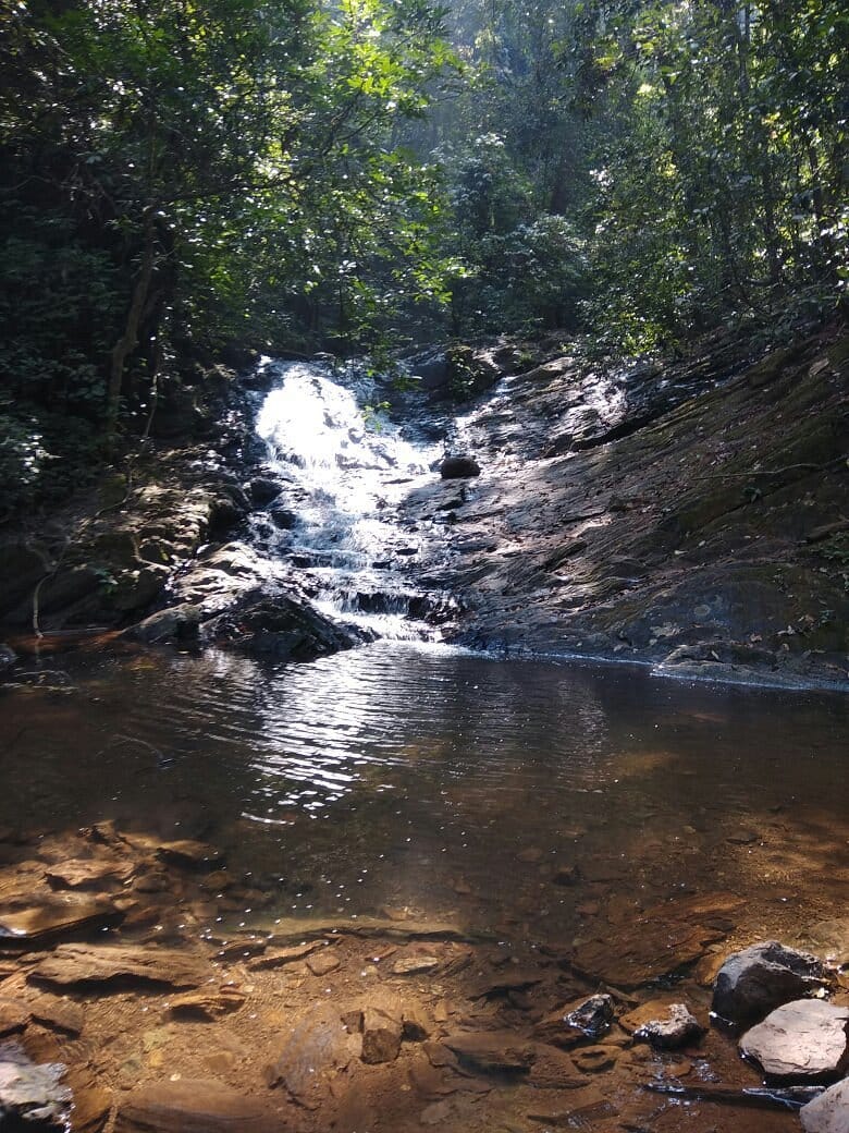 Yuvaraj20111998's tweet photo. Untouched #hiddenwaterfall location available for film shooting 
📍 Karnataka
✔ No crowd
✔ Natural cinematic visuals
✔ Ideal for songs & emotional scenes
Experience:#productionmanager
   Worked so many projects...

@ShanthiTalkies @sunpictures
@LycaProductions @UV_Creations
#FilmLocation #Kollywood #Tollywood #Mollywood