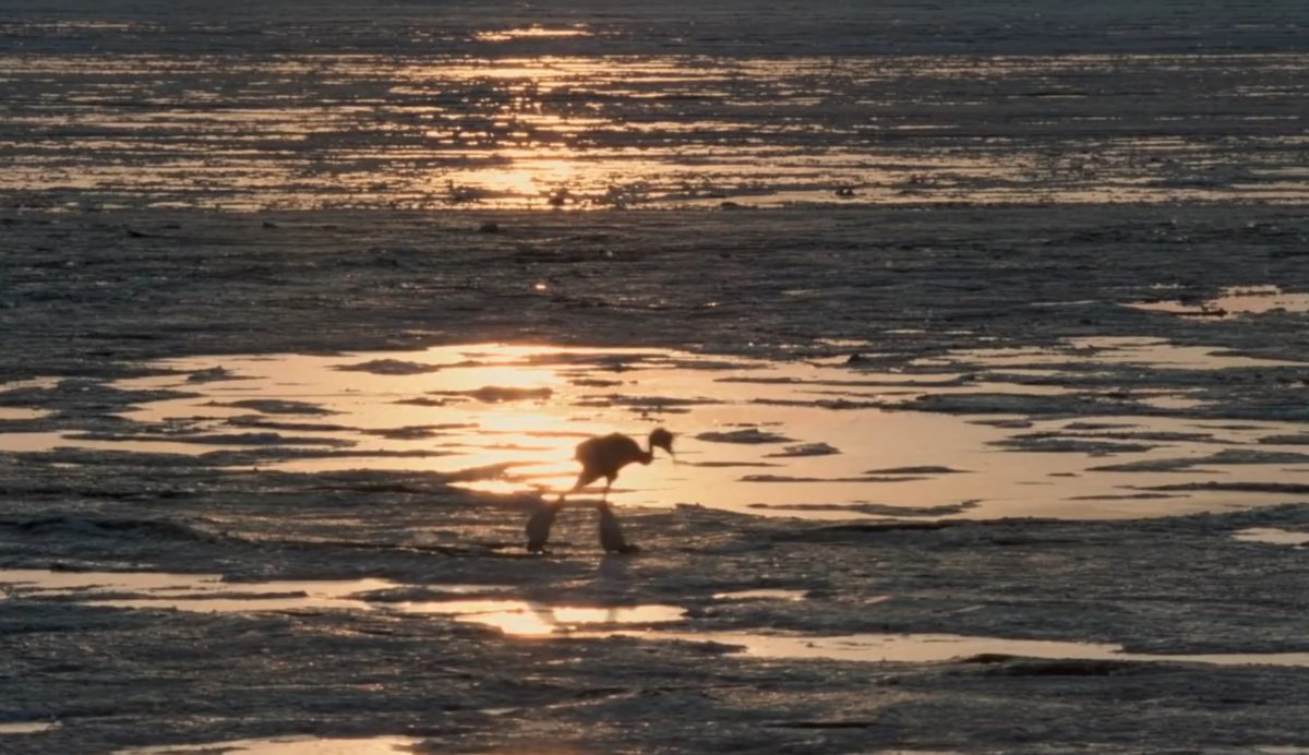 Vivek Sagar tweet media