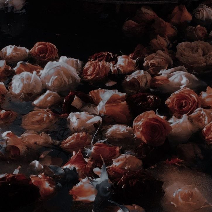 — 𝐋𝐚𝐝𝐲 𝐋𝐨𝐜𝐤𝐞 tweet media