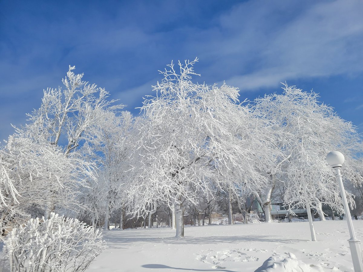 Good morning, it's very cold here :)