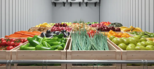 كيف تختار الخضروات الأقل في الكربوهيدرات؟ 