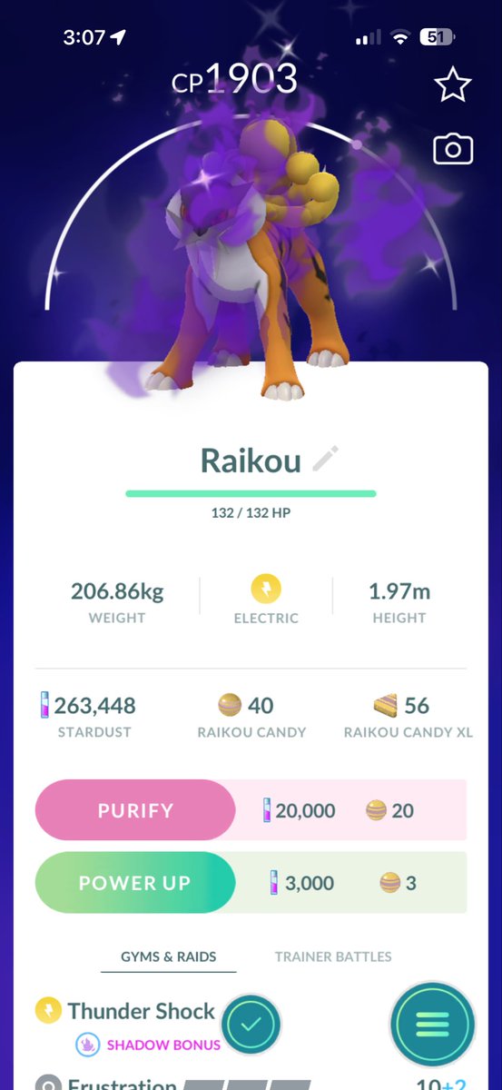 leorompuzon1's tweet photo. Caught a shiny shadow raikou!🎉🎉🎉 #pokemon #pokemongo #hull https://t.co/E26p3nyq69