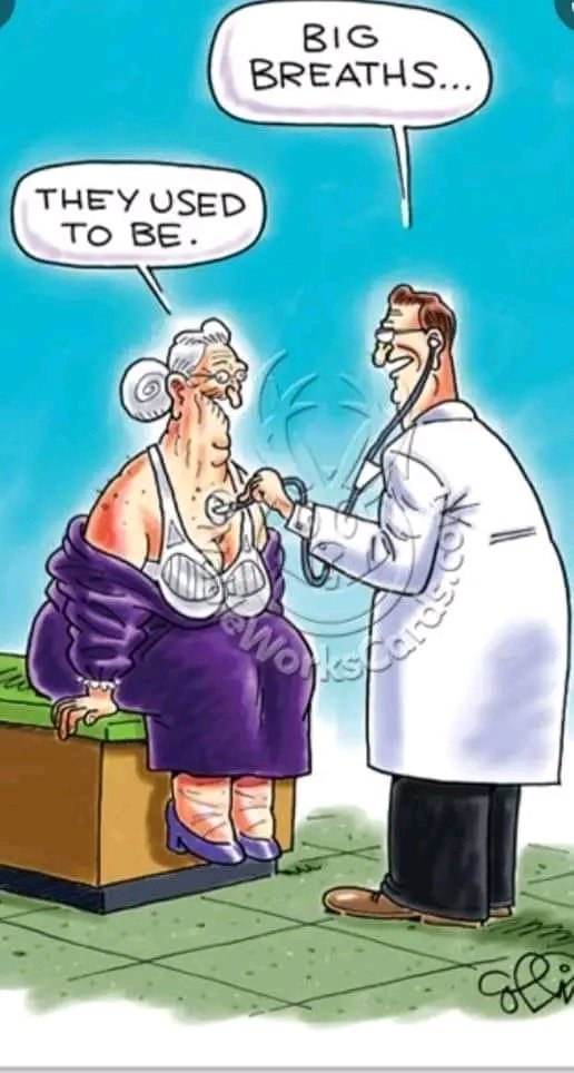 Gazoo21588616's tweet image. NYI - Utah - Sens - Bolts - Wings - Bruins - Kings - Wild - Oil #NHL #NHLPicks #LeafsForever #LeafsNation #HabsSuck Saturday Night Hockey and @lisahsmithlhs  starting to have a hard time hearing 👵🤷🏻‍♂️🥊🤕🚑🤣