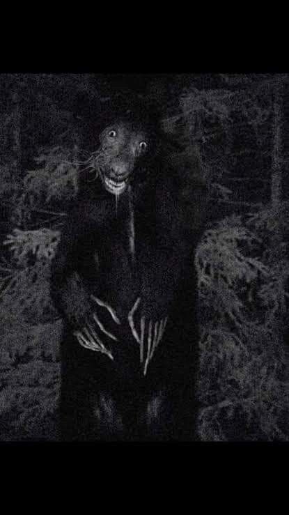 Cake Top tweet media