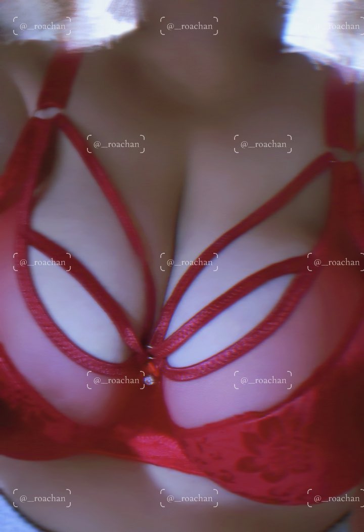 𝓡𝓞𝓐 tweet media