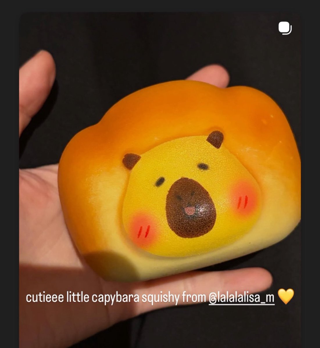 jennie IG story update:

“cutieee little capybara squishy from lalalalisa_m 💛”

<a href="/wearelloud/">LLOUD</a> 

HONG KONG LOVES LALISA
#DEADLINEinHK_LISA
#BLACKPINK_DEADLINE