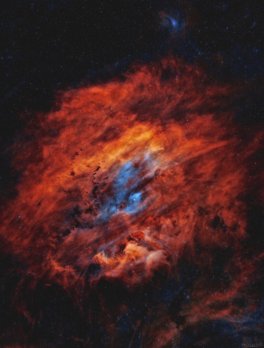 Insight Observatory tweet media