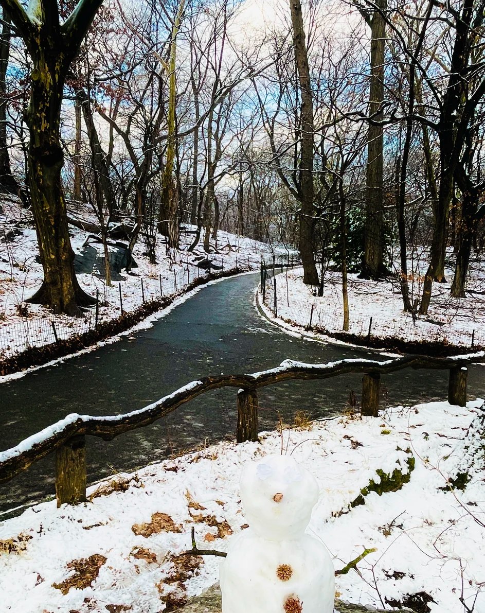 Mu_1ses's tweet image. Today in New York, it's so cold it's almost unbelievable.
#NewYork #NotesInspiration #Documentation #NewYorkLife #SoCold